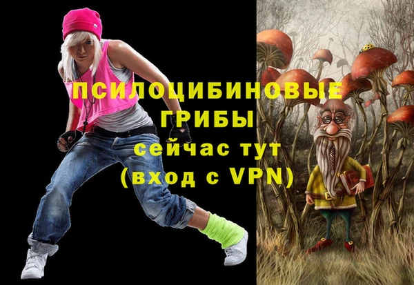 ALPHA PVP Гусь-Хрустальный